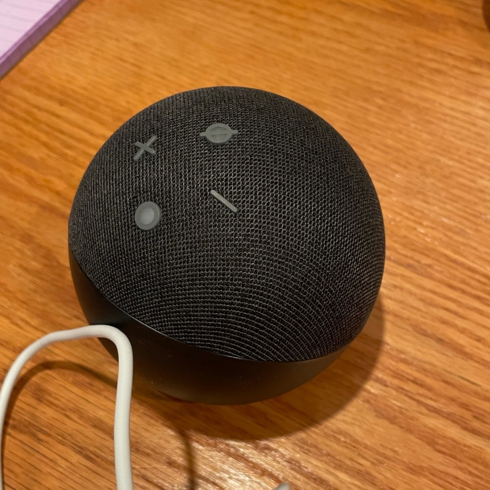 Echo Dot Alexa: Never Used with Box